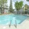 Pool surrounded by trees